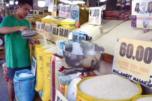 Peluang Menjanjikan Jadi Reseller Beras: Bisnis Sederhana, Untung Maksimal