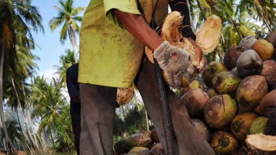 Produksi Minyak Goreng Jadi Gampang: Kenalan dengan Jasa Maklon
