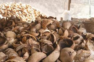 Raup Uang dari Minyak Goreng Kelapa: Produksi Mudah, Untung Berlipat!