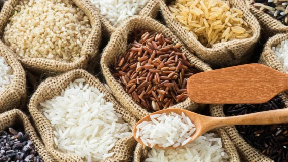 Supplier Beras Organik Terbaik: Kriteria, Tren, dan Panduan untuk Bisnis F&B hingga Ritel