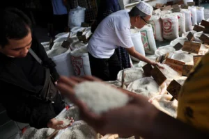 Berapa Harga Beras Mentik Susu? Panduan Lengkap untuk Ibu Modern