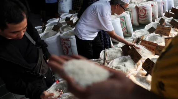 Berapa Harga Beras Mentik Susu? Panduan Lengkap untuk Ibu Modern