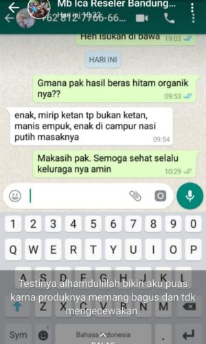 beras hitam