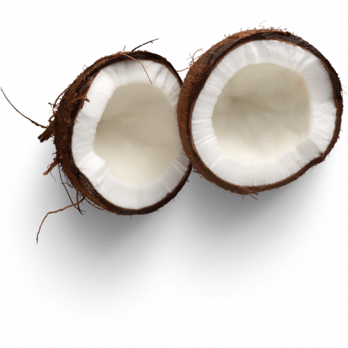 jual minyak kelapa dan vco jual minyak kelapa dan vco